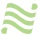 National Car-logo